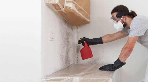 Professional Bathroom Mold Removal technician working in Wilsonville, OR